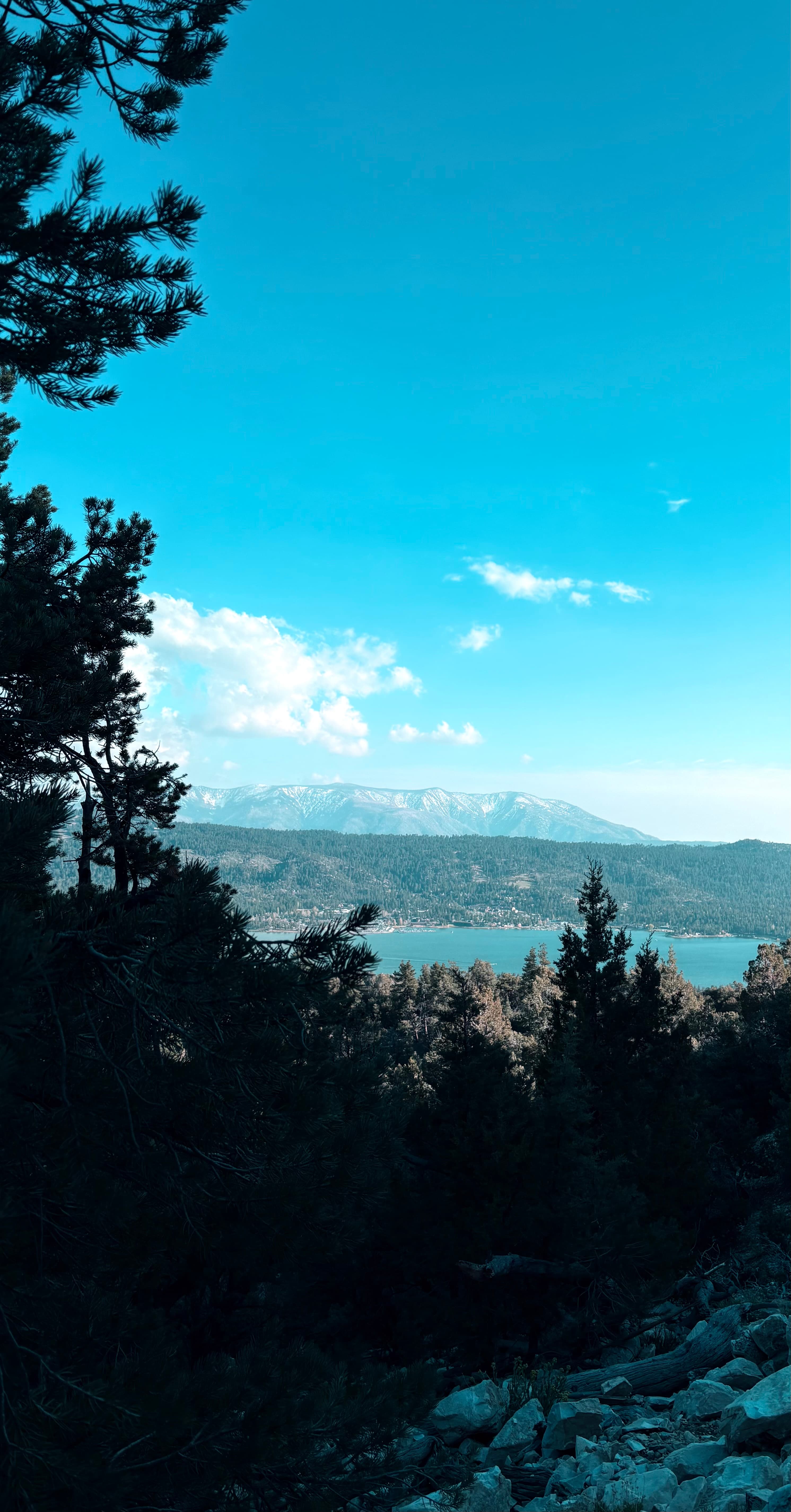 Alpine Lake Vista